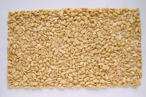 Blanched Split Peanut Kernels