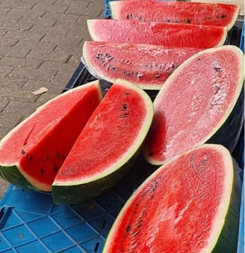 GREEK WATERMELONS