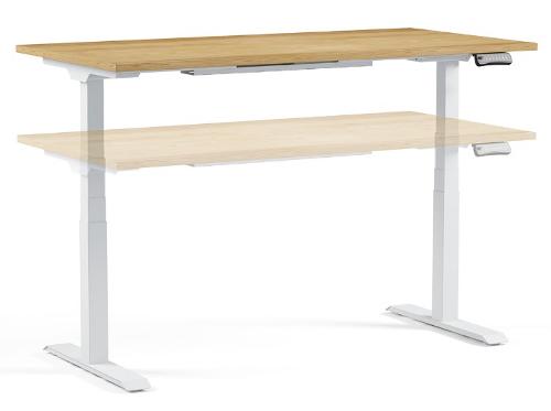 Regula Height Adjustable Table