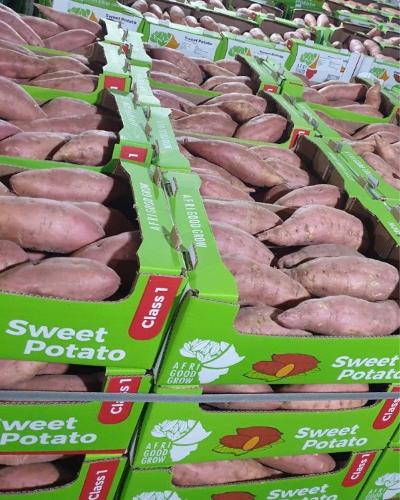 Sweet Potatoes 