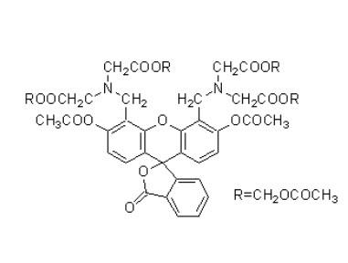 CELLSTAIN- Calcein-AM Solution