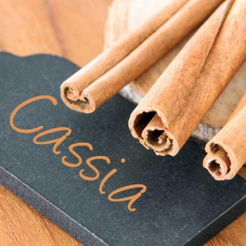 Cinnamon Cassia Oleoresin