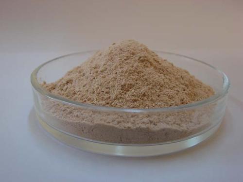 Sunflower Lecithin Powder.