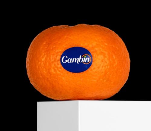 Tangerine