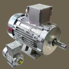 RAEL aluminium Flameproof-Motors