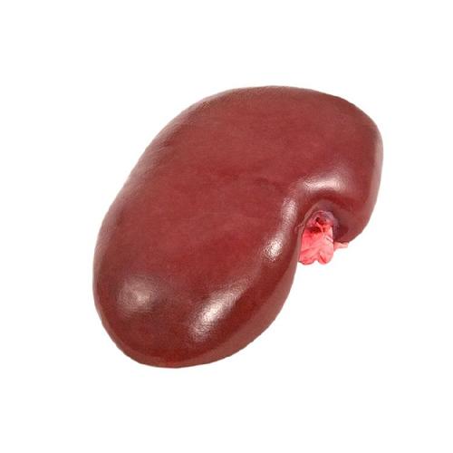 Frozen Pork Kidneys