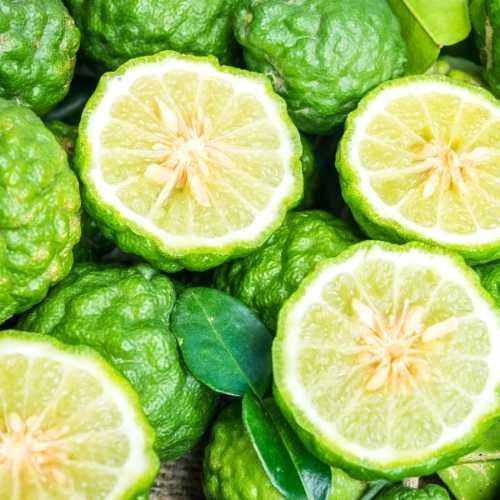 Bergamot essential oil