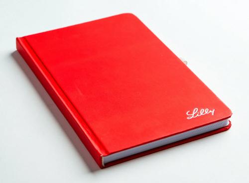 Personalized diaries