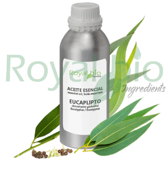 Eucalyptus Essential Oil