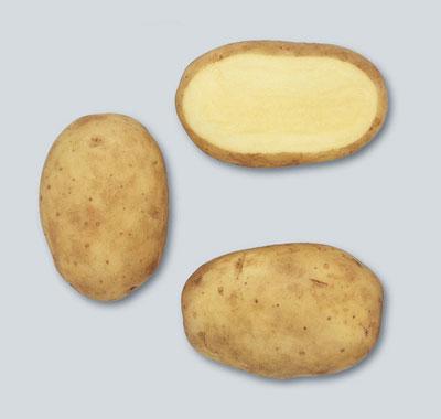 Potatoes - Yellow skin