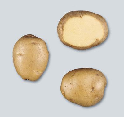 Potatoes - Yellow skin