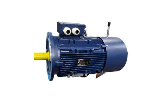 Brake motors 