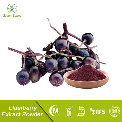 Elderberry Extract Powder