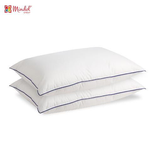 Twin / Re-Comfort Twin pillows