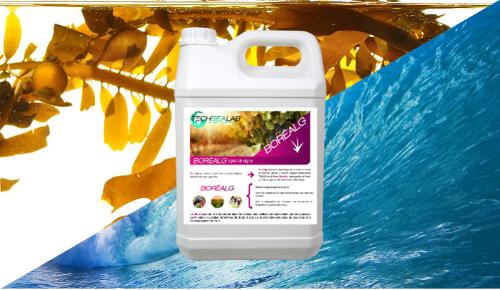 EC fertilizer for vine