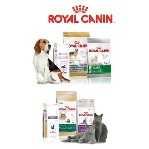 ROYAL CANIN FOOD