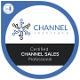 Certificate in Channel Sales (THE CHANNEL INSTITUTE)