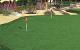 Artificial grass for golf course (RUN GRASS)