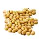 soybeans (V.O.F. PLANTENDIENST VENLO)