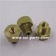 Custom Brass Fastener (SOOCHOW ADVANCE INDUSTRIES CO., LTD.)