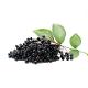 Elderberry extract and powder (ANKLAM EXTRAKT GMBH)