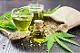 EU Hemp Seed Oil (NUTRA INGREDIENTS LTD)