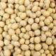 Soybeans Meal (H.B.A STEENS ILMA TRADING BV)