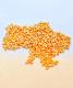 Yellow Split Peas (FIRMA DIAMANT LTD, LLC)