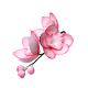 Confectionery Sugar Decoration “orchid Twig № 1 Tinted Pink”  (SLADO)