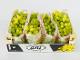 Table grape (ANI TARIM FRESH FRUITS COMPANY)