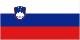 Translation services in Slovenia (LINGUAVOX SL)