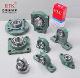 ETK Pillow Block Bearing (ETK BEARING CO.,LTD)