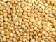 Yellow Millet (MTK LTD)