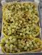 seedles grapes (NIDAL FRESH CO)