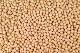 Soybean (KIEV SHIPPING LTD)