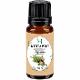 Cypress essential oil (Cupressus sempervirens) 10 ml. (BUDJAK LTD)