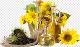 Quality Edible Sunflower Oil (DEBANG EXPORT & IMPORT GMBH)