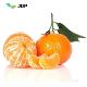 Tangerine essential oil (JUST DIFFERENT PEOPLE,S.L.)