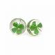 Stud Earrings Four Leaf Clover (ZENVOL)