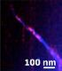 Advanced Hd Ters & Hd Scattering Snom (NT-MDT LLC)