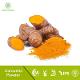 Turmeric Extract Curcumin Powder (XI'AN GREENSPRING TECHONOLOGY FRANCE)