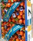 Clementines (LO CASTO S.R.L.)