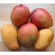 The Mango (IS COMMODITY)