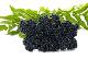 Elderberry Juice Concentrate (AG FEEDING)