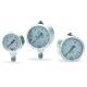 Stainless steel pressure gauges (RIEGLER & CO.KG)