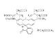 CELLSTAIN- Calcein-AM Solution (GERBU BIOTECHNIK GMBH)