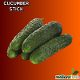 Cucumber Stick (MELIORAFRESH (BESTTRADE))