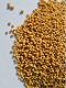 Yellow mustard seed, crop 2022 (CROPFUL S.R.O.)