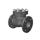 API CHECK VALVE (VALTORQUE VALVES KFT)