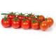 tomatoes cherry 3KG (TAMAF IRENI GROENTEN EN FRUIT B.V)